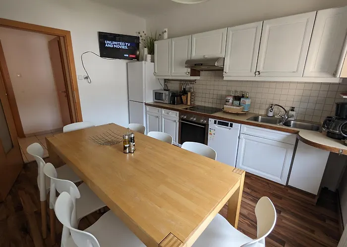 公寓 Bright And Comfortable Unit Across From Messe 韦尔斯